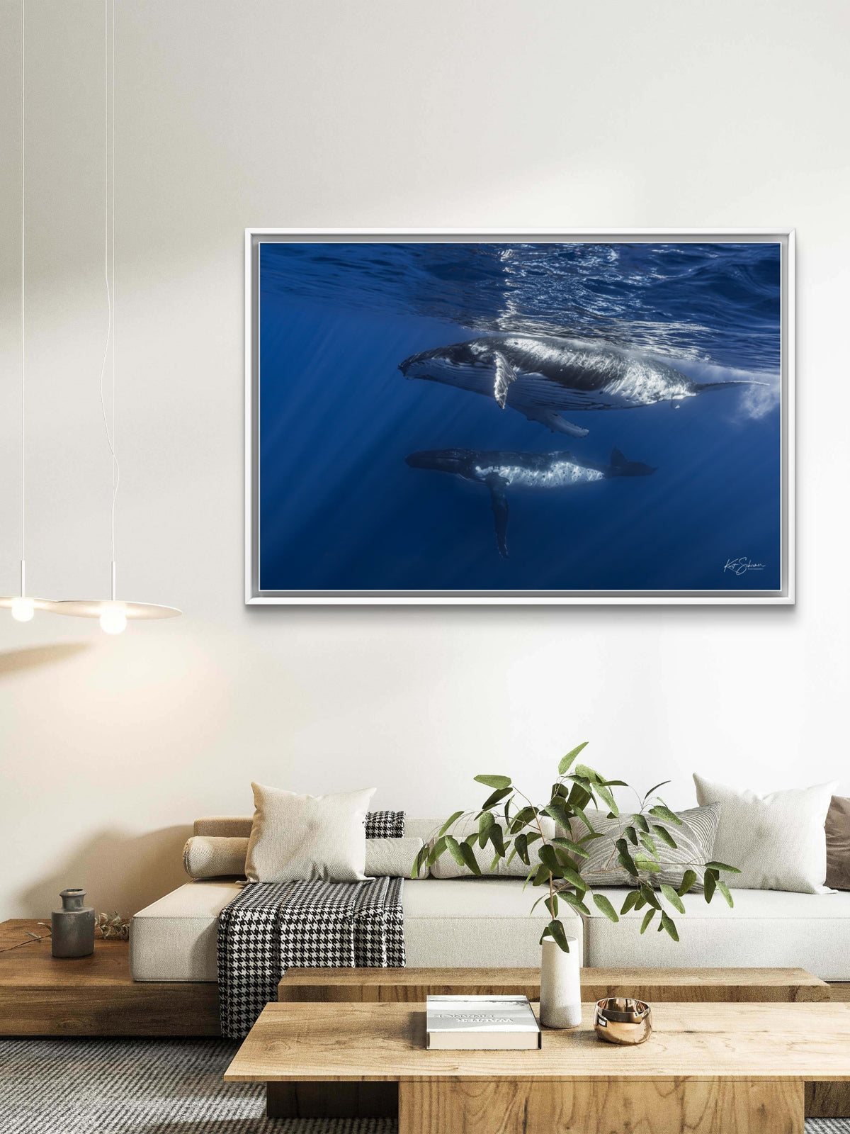 Humpback Whales Side by Side – Underwater Fine Art Photography Wall Art Print