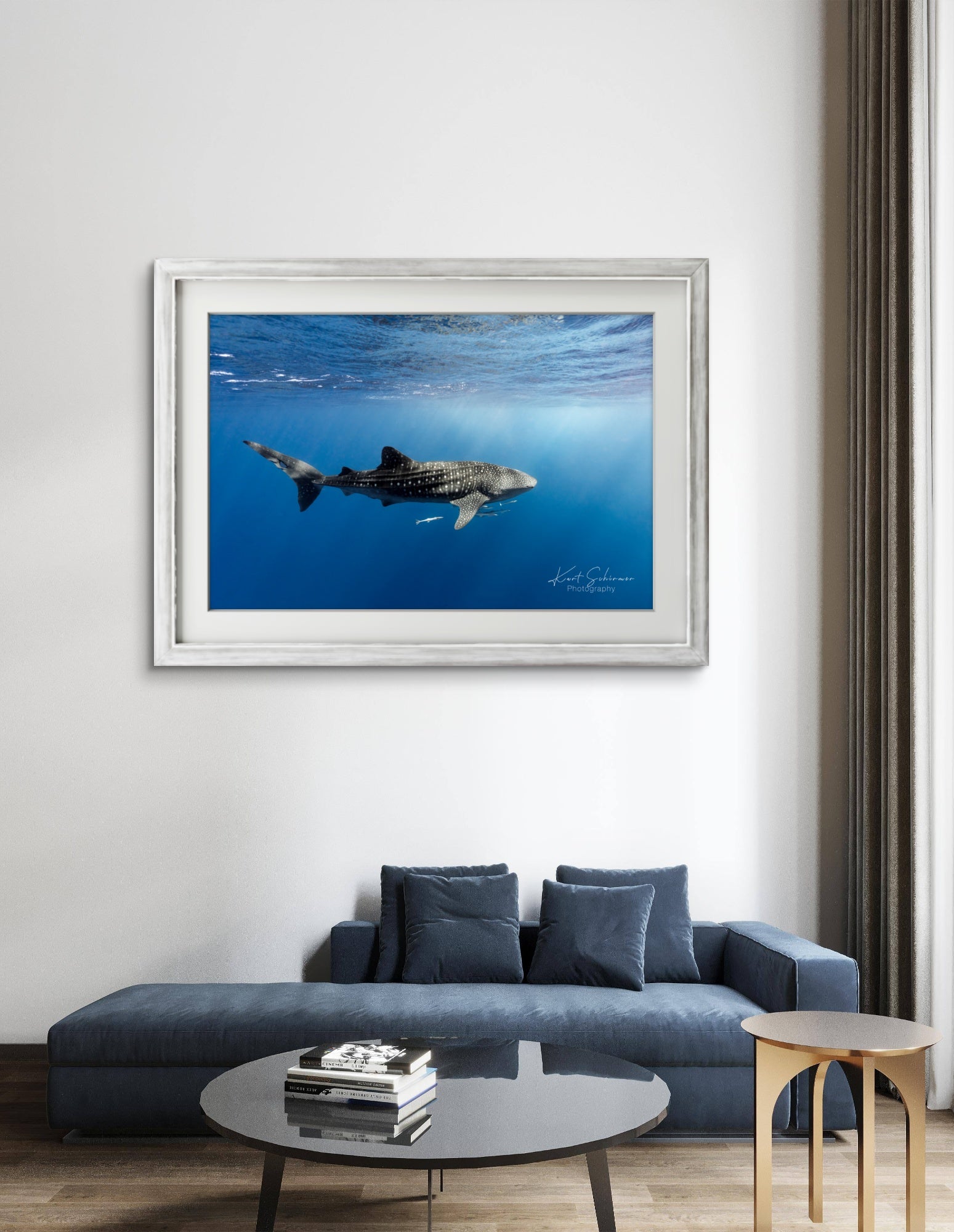 Whale shark of Ningaloo