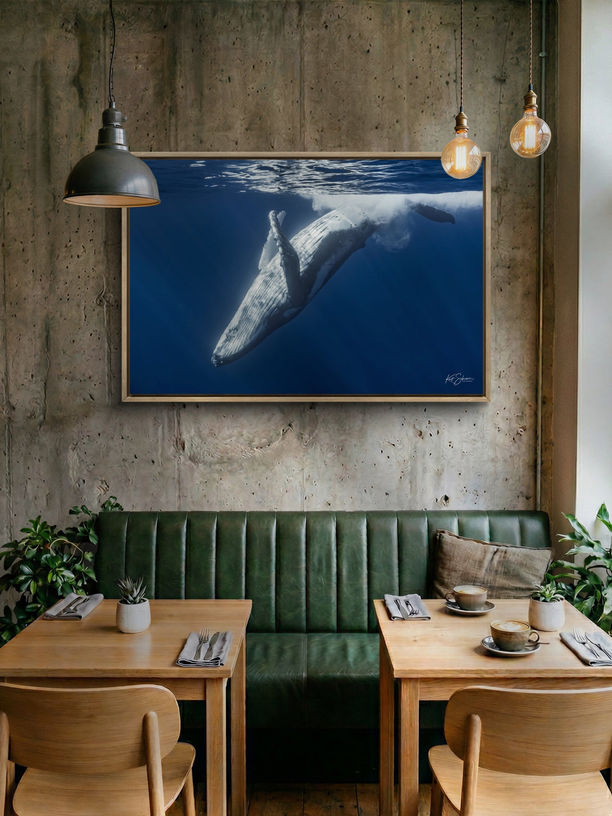 Humpback Whale Back Roll – Underwater Fine Art Photography Wall Art Print