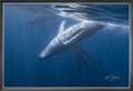 Humpback Whale Family in Moorea – Underwater Ocean Photography Wall Art Print