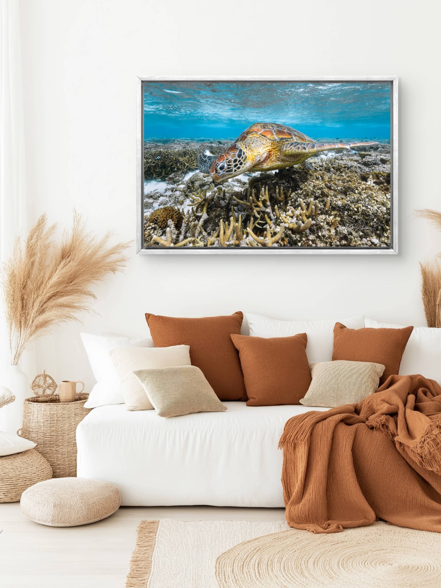 Turtle Portrait II – Underwater Fine Art Photography Print