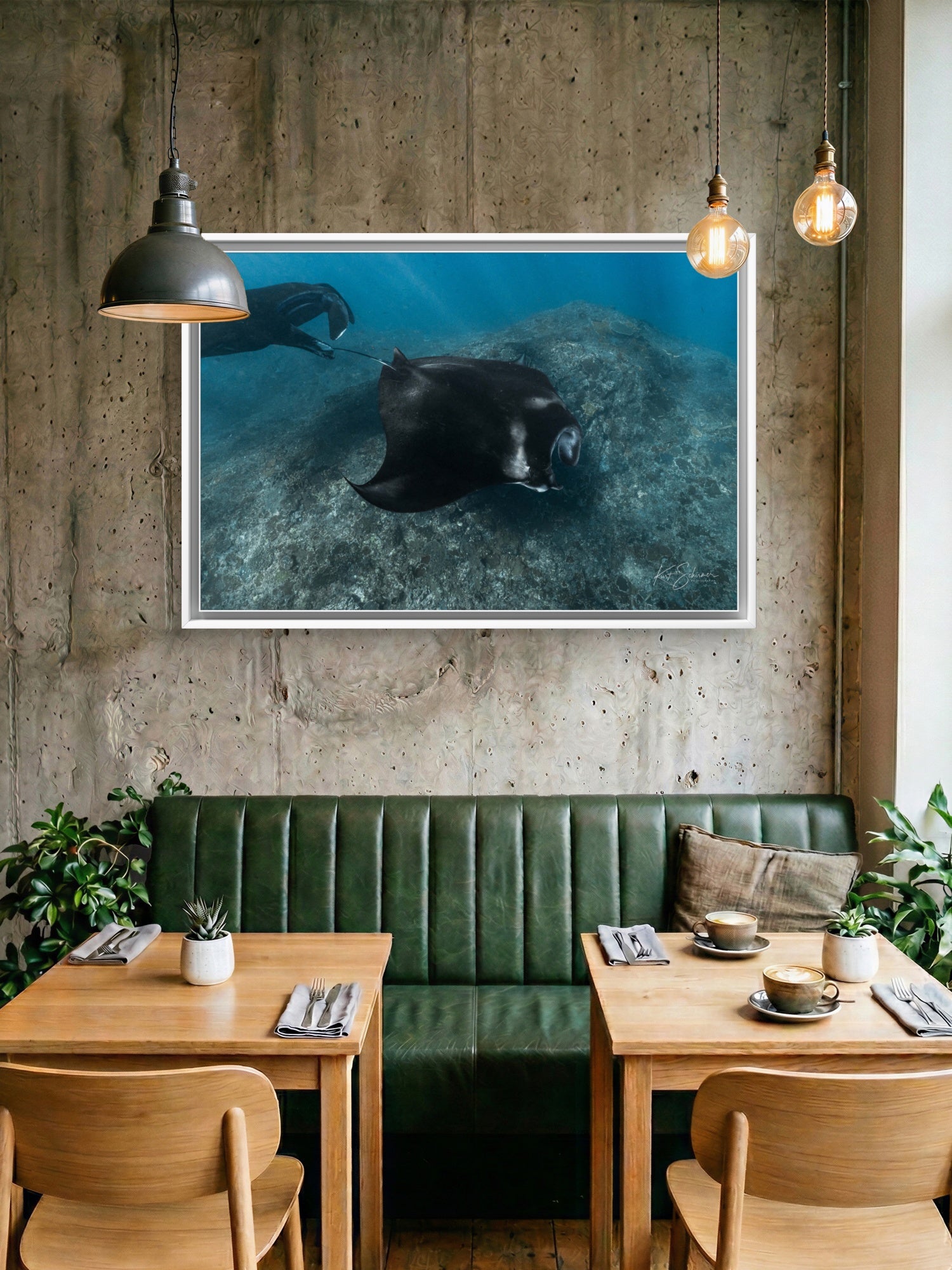Two Mantas – Nusa Penida Underwater Fine Art Photography Print