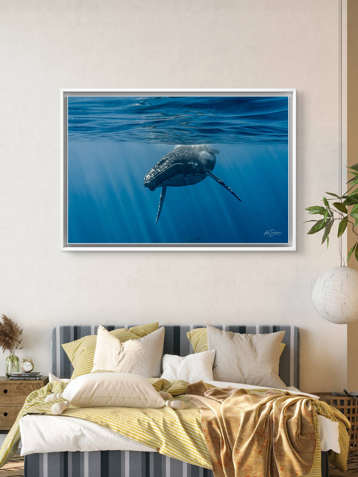 Humpback Whale Face to Face – Underwater Fine Art Photography Wall Art Print