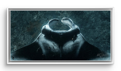 Cruising Manta Ray at Nusa Penida – Underwater Manta Ray Photography Wall Art Print
