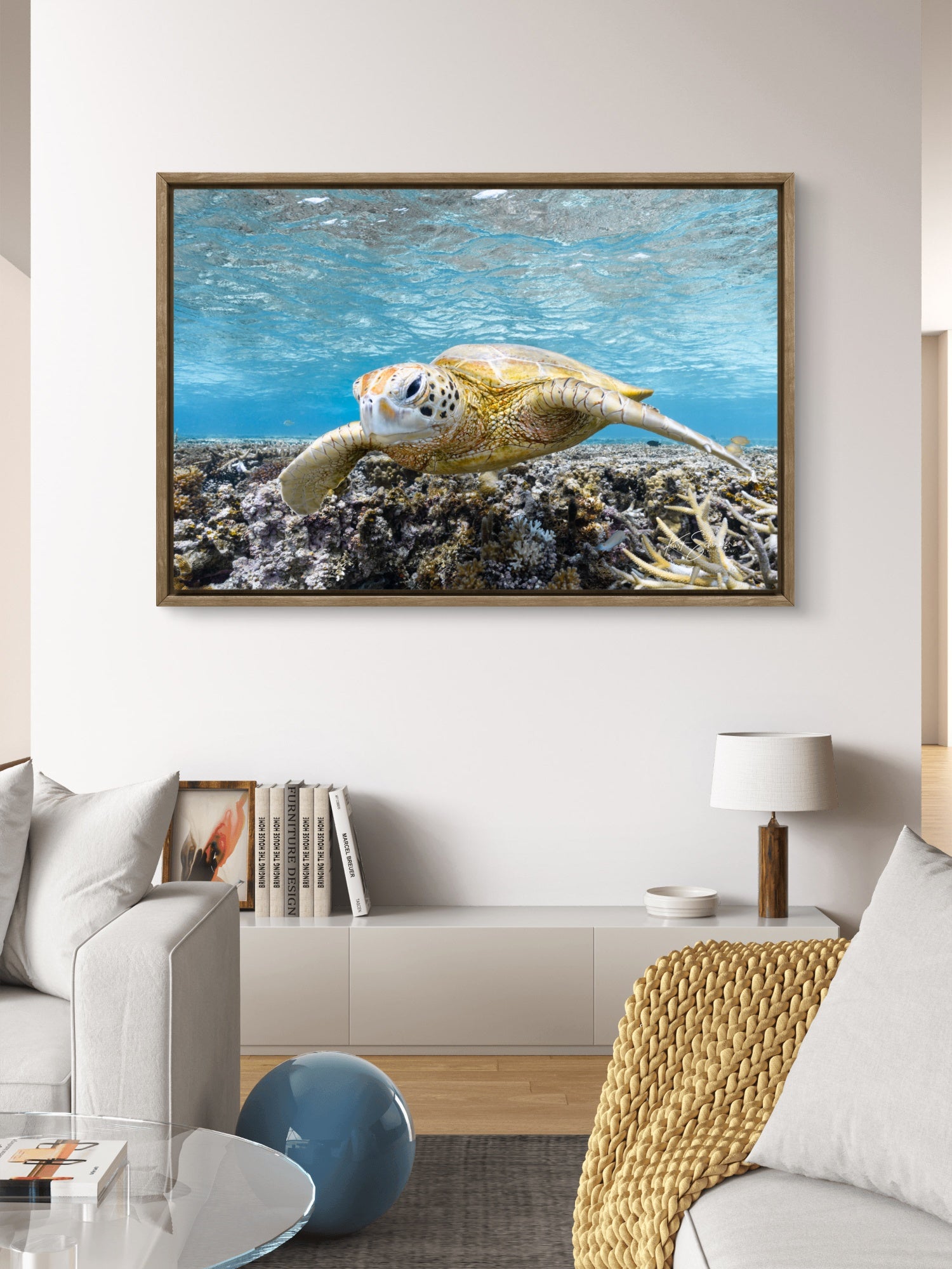 Turtle Portrait – Underwater Fine Art Photography Print